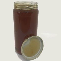Miel de Eucalipto 100% natural
